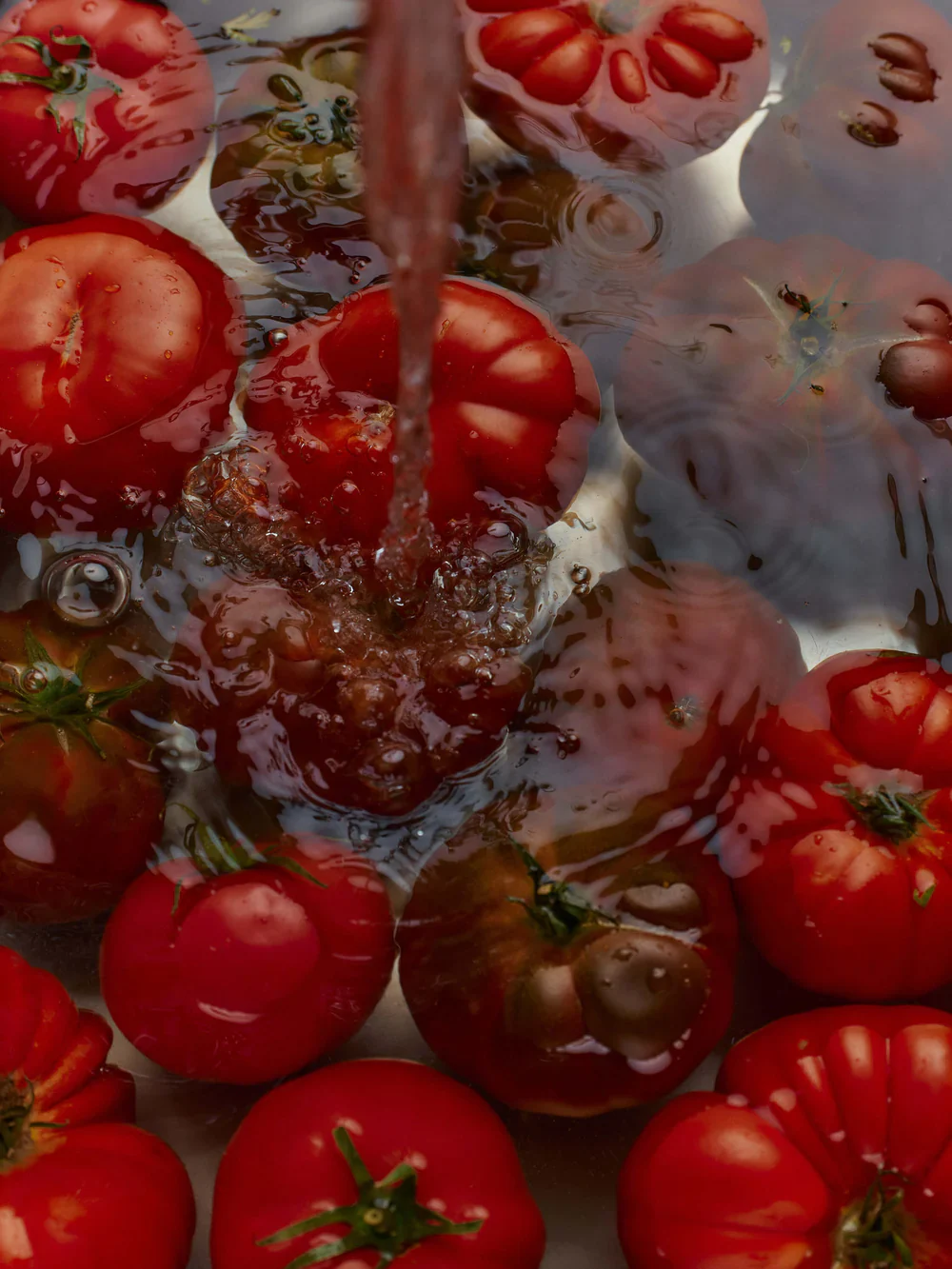 Heirloom Tomato Hand Soap - Image 9
